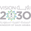 SaudiVision-300x300